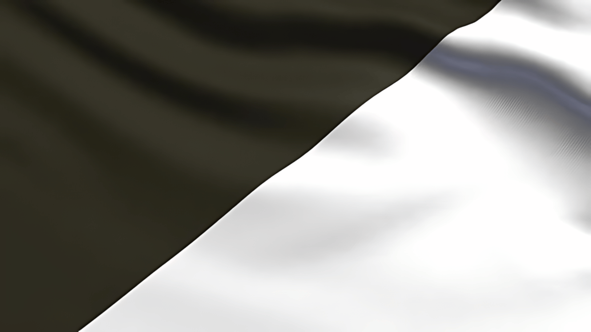 Black and White Flag F1 Flag