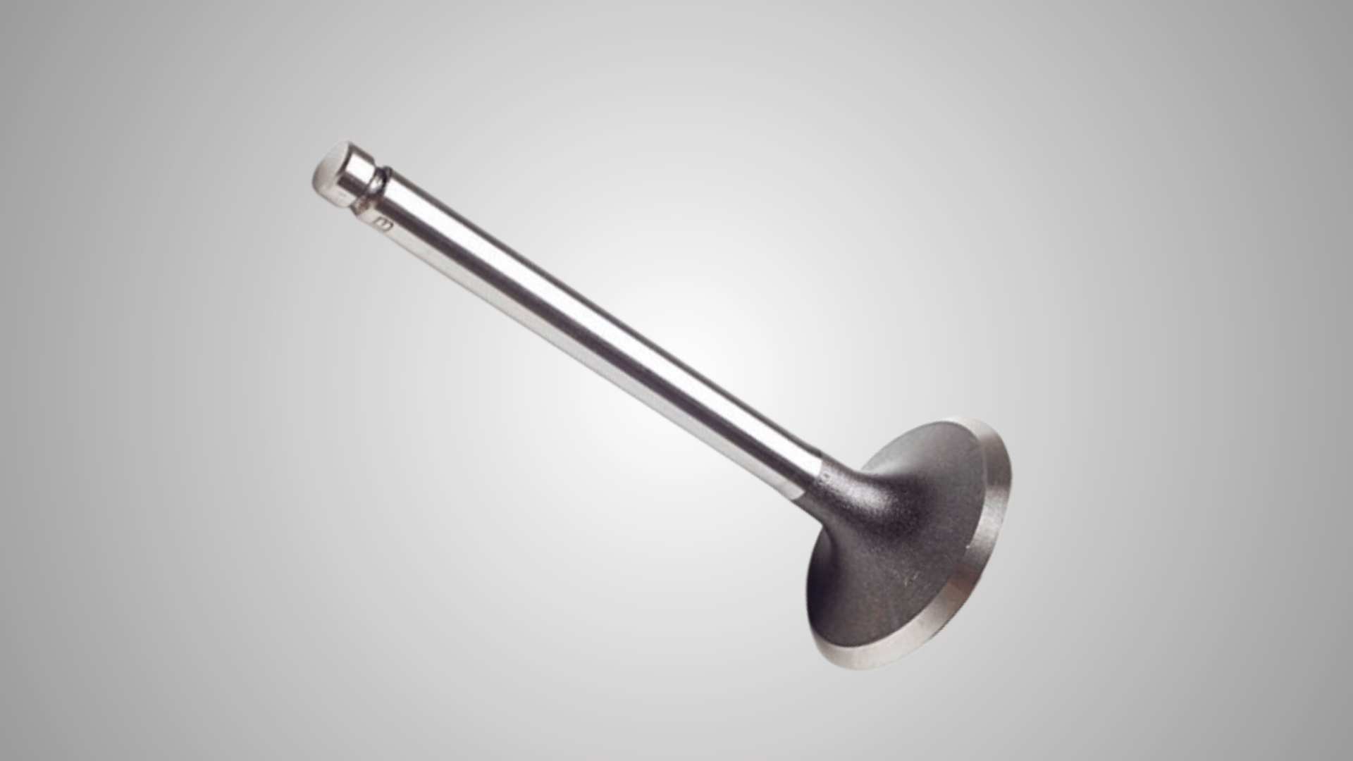 valves